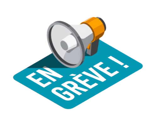 image-removebg-preview(36).png